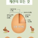 무지개 식품 이미지