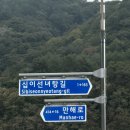 꽃길만걷자 | 2025 인제 가을꽃축제 &lt;꽃길만 걷자&gt; 후기