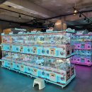 퍼니랜드 이미지