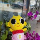 금비 카카오 검색결과