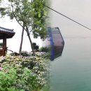 바다와소나무 이미지