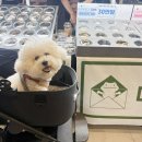 대전컨벤션센터 | 대전 파충류동반자 펫박람회 후기, 파동 컨벤션센터 주차팁