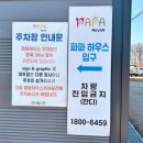 파파하우스 이미지