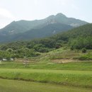 곡성-134 이미지