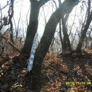 영평농장 이미지