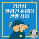 워킹앤워킹 애견유치원&애견호텔 | 경산 강아지 유치원, 반려견 순찰대 심사 꿀팁 대방출 💙🤍🧡❤️💚