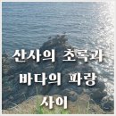 대웅구내식당(경아식당) | [2025년 | 부안] 초록빛 그늘 아래서 푸른빛 물결 품 안으로.