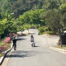 꾸버꾸버 | 26. 5. 9. 괴산 성불산 자연휴양림 먹핑