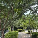 시티세븐 건너편 이미지