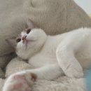 동감늘푸른한의원 이미지