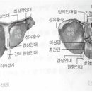 의명한의원 이미지