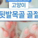 속초삼성동물병원 이미지