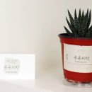 감삼동313 이미지