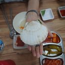 삼포리수산