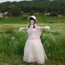 허수아비 이미지