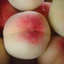 보련산 농장 이미지