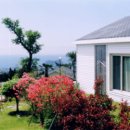 알앤비타운 이미지