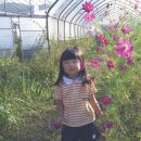 신영주농장 이미지