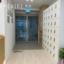 스마일피티 이미지