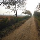 갯골생태공원(캠핑장) 이미지