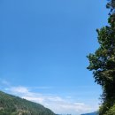 메이플 베이 (maple bay) 네이버블로그