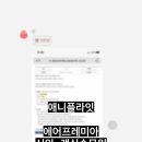 애니플라잇