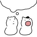 부산강아지분양 하이퍼피 이미지