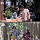 진솔민박 이미지