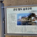 보동이네 이미지