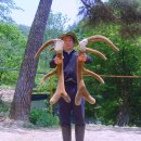 신덕2호 이미지