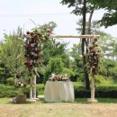 원대 수목원 이미지