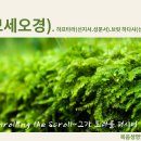 9주(12/08-월)＜파라샤＞_&#34;바예쉐브&#34;-창세기 37:1~40:23(모세오경 읽기와 해설) 이미지