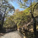 비래사 앞 | [대전시 매봉산 비래사] 무염스님의 목조비로자나불좌상