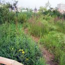 정원빌딩 이미지