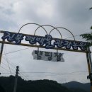 진북편백골관광농원캠핑장 이미지