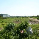 신흥정미소 이미지