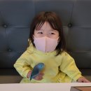 버드리대전 | 대전 가수원동 앵무새카페 버드리 세번째 방문 후기