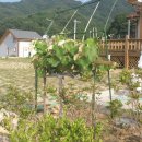 한우별장 2농장 이미지