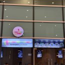 신하농장 | 나트랑 여행1일차 (피크타임 무이네 사막 선라이즈 지프투어, 퓨전리조트 후기)