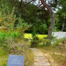 두루와펜션 | 원주 애견동반 가능한 유알풀빌라펜션 | UR5 룸 숙박후기