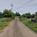 온평리-9 이미지