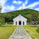 성지연꽃길 이미지