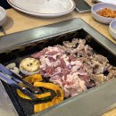 카페푸른초장 | 충정로역 맛집 명인강메밀 푸른초장 오리고기 막국수 후기