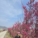 지리산반내골오토캠핑장 | [전라도캠핑] 구례 지리산반내골카라반캠핑장, 계곡인접캠핑장