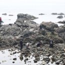 지천소공원 이미지