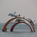 꿈바라기 이미지