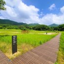 여주-0593 이미지