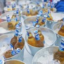 가맥천국 | 축제 2025, 전주대학교 대운동장에서 즐기는 맥주+안주 천국 일정·후기·꿀팁 총정리 (2025 필참 가이드)