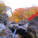 피아골주유소 이미지