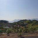 소경도마을회관 이미지